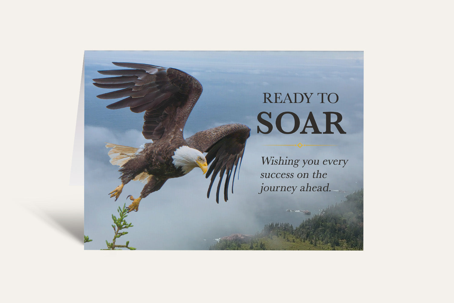 Ready to Soar