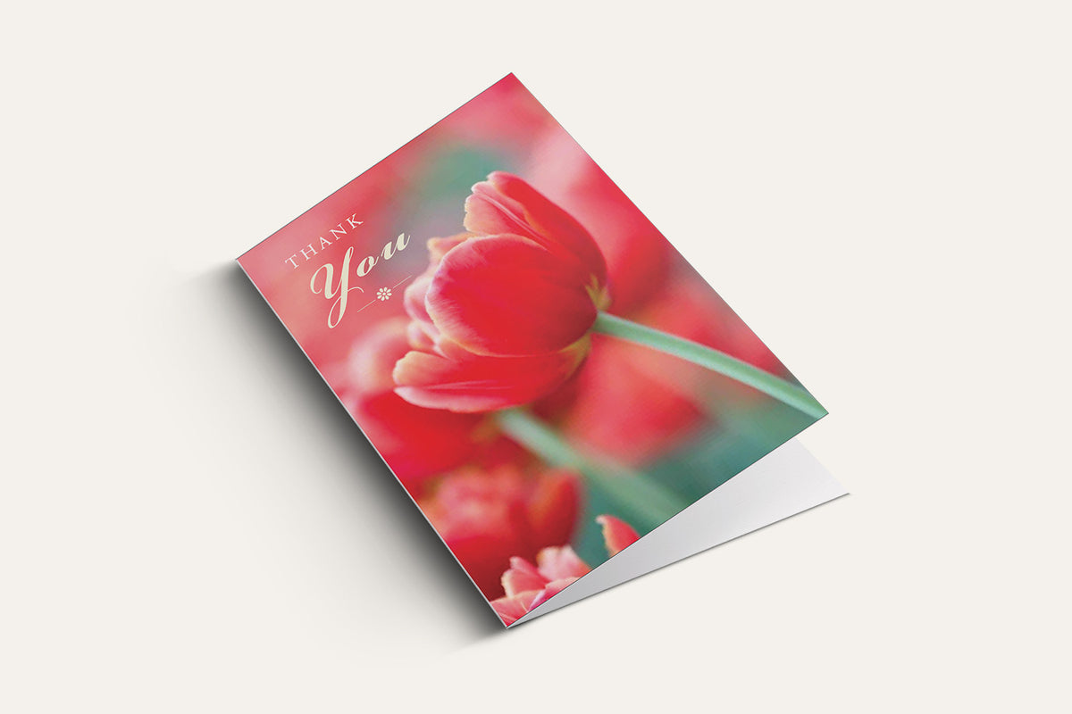 Thank You – Red Tulip Greeting Card