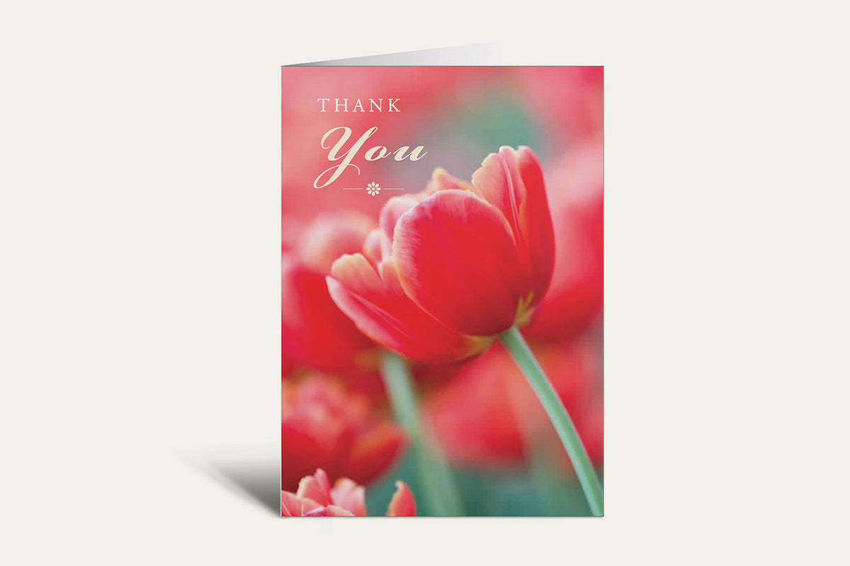 Thank You – Red Tulip Greeting Card