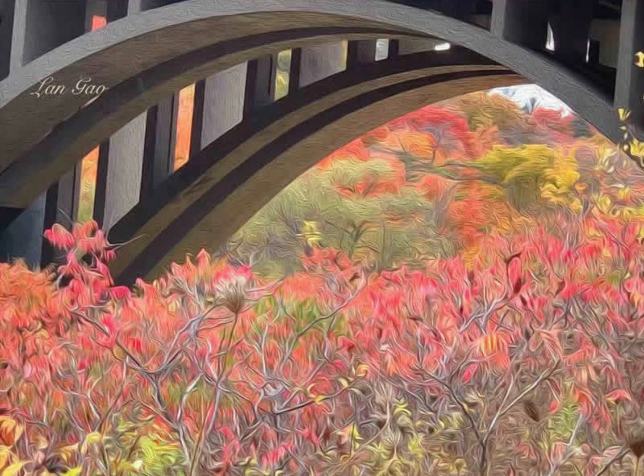 Bridge in Fall Colour