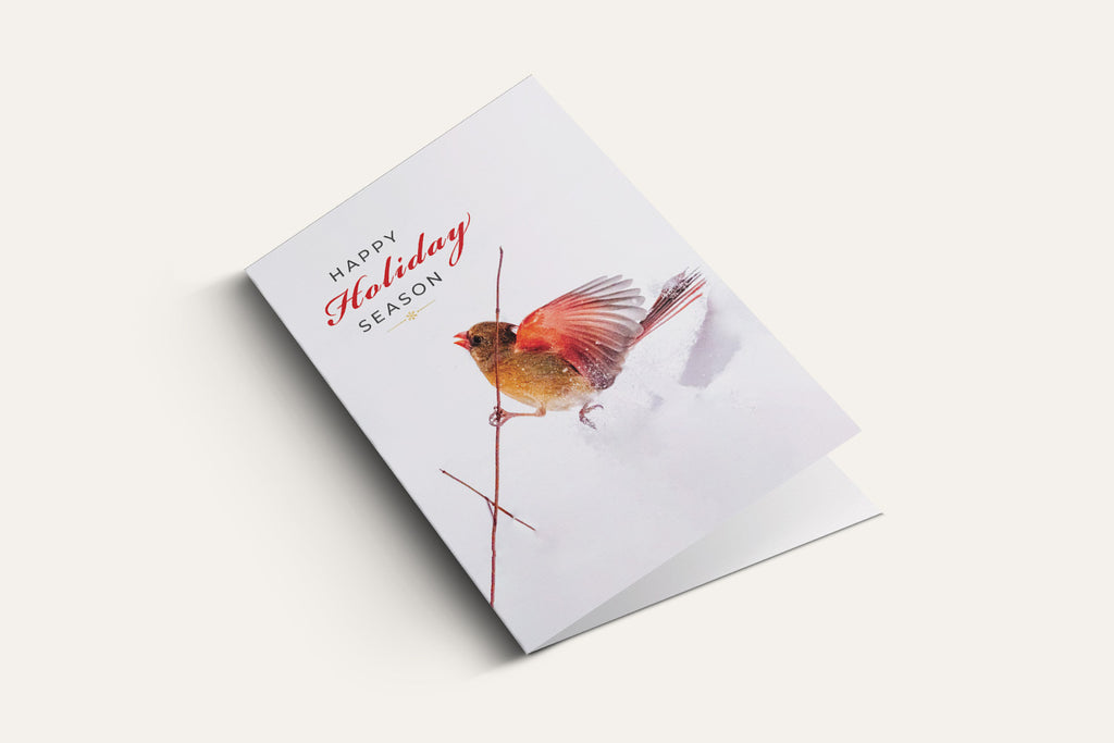 Happy Holidays – Winter Bird Greeting Card