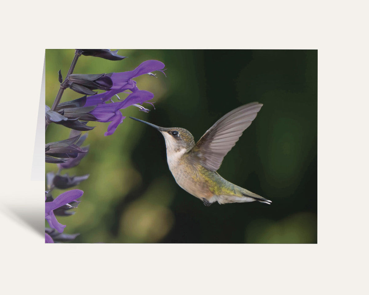 A vertical greeting card featuring a photograph of a hummingbird hovering near purple flowers against a dark green blurred background, shown on a light beige surface.