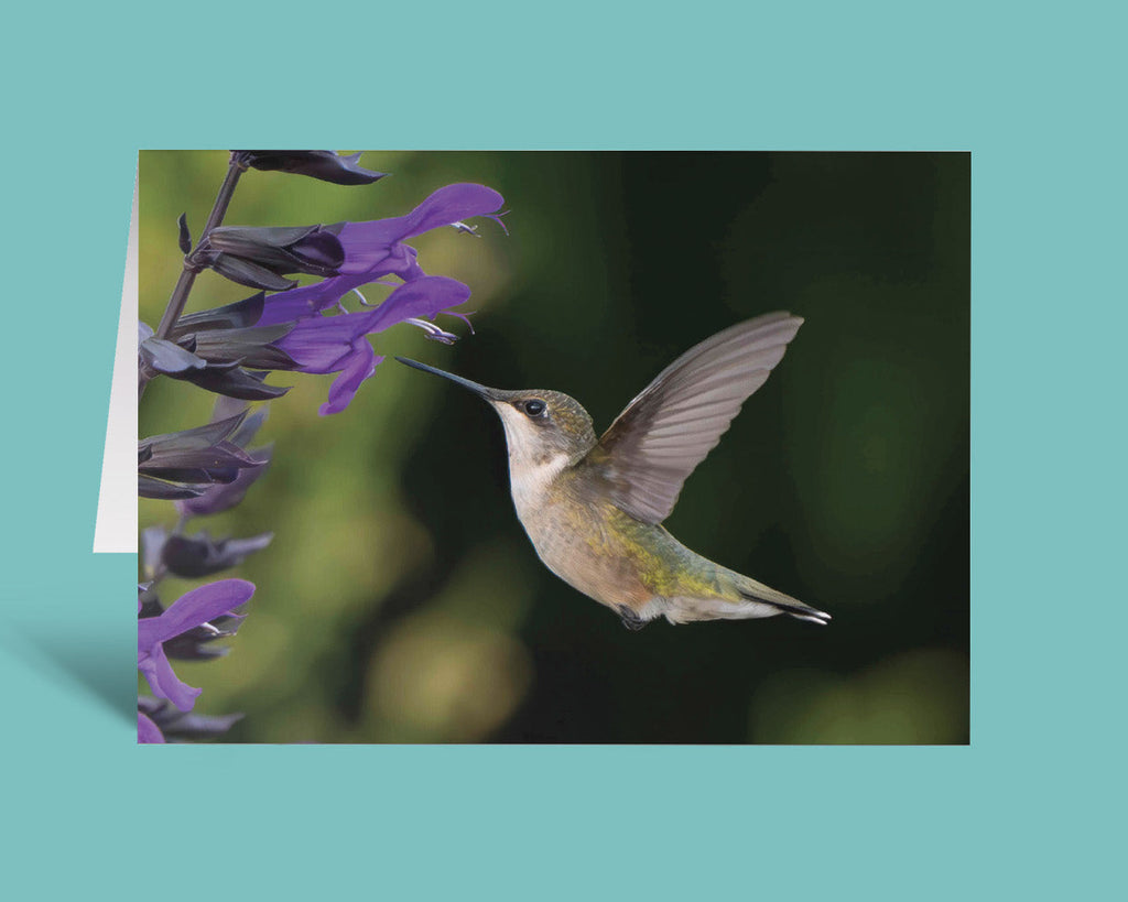 A vertical greeting card featuring a photograph of a hummingbird hovering near purple flowers, displayed on a solid teal background.