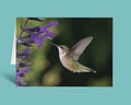 A vertical greeting card featuring a photograph of a hummingbird hovering near purple flowers, displayed on a solid teal background.