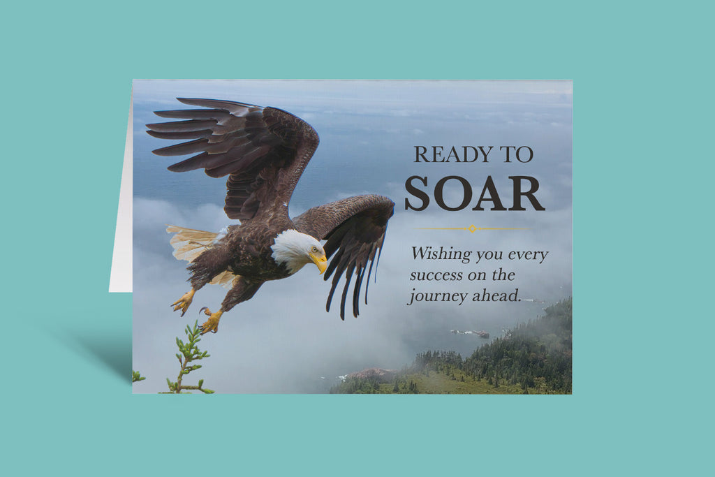 Ready to Soar