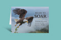 Ready to Soar